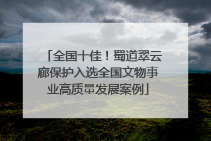全国十佳！蜀道翠云廊保护入选全国文物事业高质量发展案例