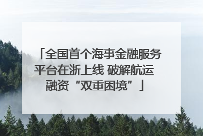 全国首个海事金融服务平台在浙上线 破解航运融资“双重困境”