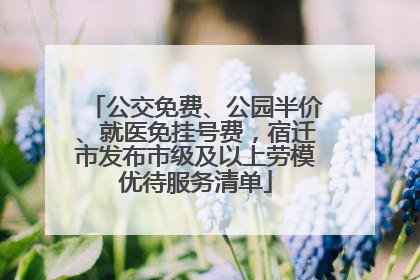 公交免费、公园半价、就医免挂号费，宿迁市发布市级及以上劳模优待服务清单
