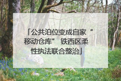 公共泊位变成自家“移动仓库” 铁西区柔性执法联合整治