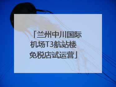 兰州中川国际机场T3航站楼免税店试运营