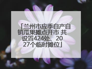 兰州市应季自产自销瓜果摊点开市 共设置424处、2027个临时摊位