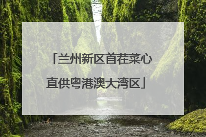 兰州新区首茬菜心直供粤港澳大湾区