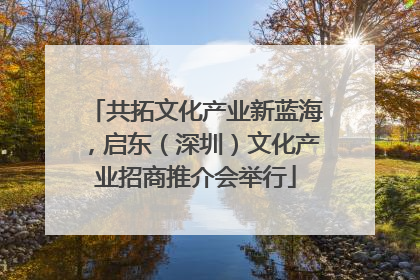 共拓文化产业新蓝海，启东（深圳）文化产业招商推介会举行