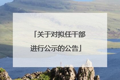 关于对拟任干部进行公示的公告