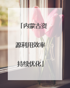 内蒙古资源利用效率持续优化