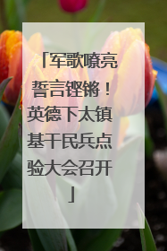 军歌嘹亮誓言铿锵！英德下太镇基干民兵点验大会召开