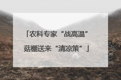 农科专家“战高温” 菇棚送来“清凉策”