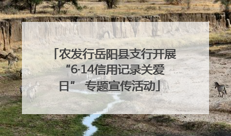 农发行岳阳县支行开展“6·14信用记录关爱日” 专题宣传活动