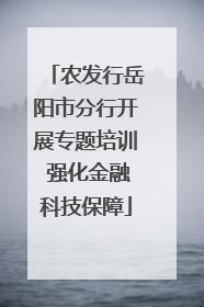 农发行岳阳市分行开展专题培训 强化金融科技保障