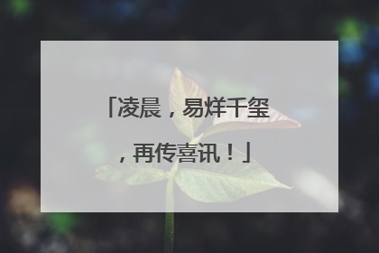 凌晨，易烊千玺，再传喜讯！