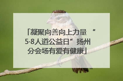 凝聚向善向上力量 “5·8人道公益日”扬州分会场有爱有健康