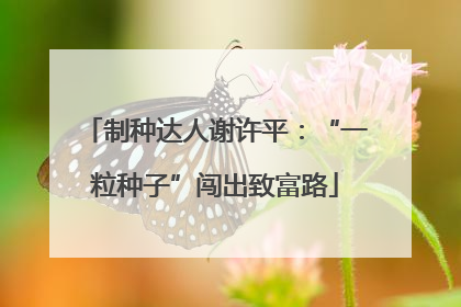 制种达人谢许平：“一粒种子”闯出致富路