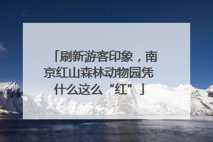 刷新游客印象，南京红山森林动物园凭什么这么“红”