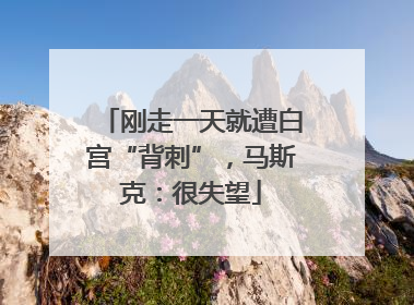 刚走一天就遭白宫“背刺”，马斯克：很失望