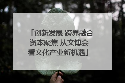 创新发展 跨界融合 资本聚焦 从文博会看文化产业新机遇