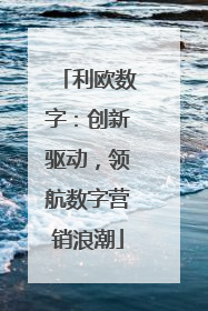 利欧数字：创新驱动，领航数字营销浪潮