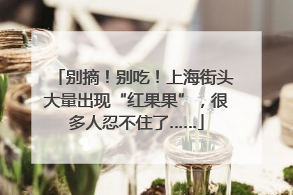 别摘！别吃！上海街头大量出现“红果果”，很多人忍不住了……