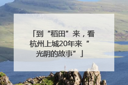 到“稻田”来，看杭州上城20年来“光阴的故事”