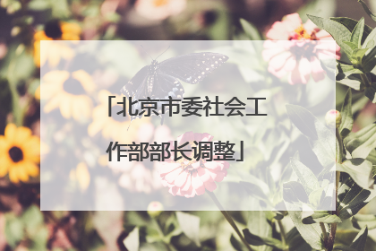 北京市委社会工作部部长调整