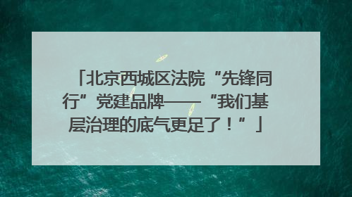 北京西城区法院“先锋同行”党建品牌——“我们基层治理的底气更足了！”