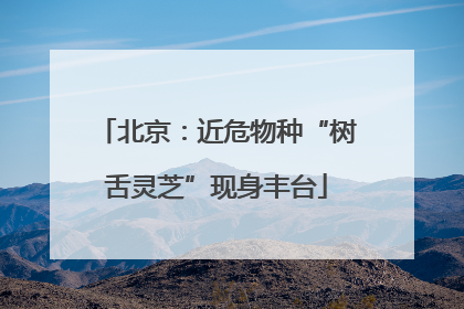 北京：近危物种“树舌灵芝”现身丰台