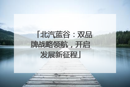 北汽蓝谷：双品牌战略领航，开启发展新征程