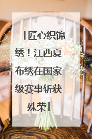 匠心织锦绣！江西夏布绣在国家级赛事斩获殊荣
