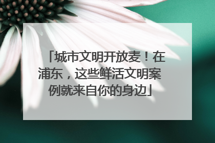 城市文明开放麦！在浦东，这些鲜活文明案例就来自你的身边