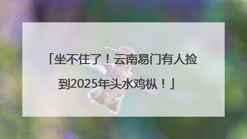 坐不住了！云南易门有人捡到2025年头水鸡枞！