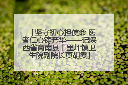 坚守初心担使命 医者仁心铸芳华——记陕西省商南县十里坪镇卫生院副院长贾胡委