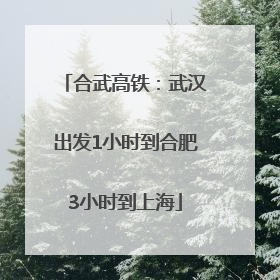 合武高铁：武汉出发1小时到合肥3小时到上海