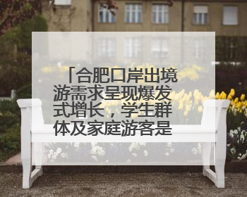 合肥口岸出境游需求呈现爆发式增长，学生群体及家庭游客是主力军