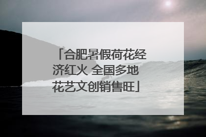 合肥暑假荷花经济红火 全国多地花艺文创销售旺