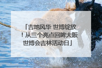 吉地风华 世博绽放！从三个亮点回眸大阪世博会吉林活动日