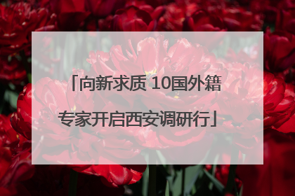 向新求质 10国外籍专家开启西安调研行