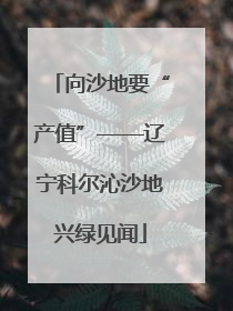向沙地要“产值”——辽宁科尔沁沙地兴绿见闻