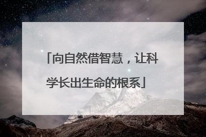 向自然借智慧，让科学长出生命的根系