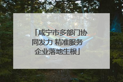 咸宁市多部门协同发力 精准服务企业落地生根