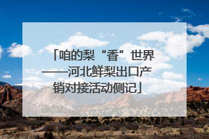 咱的梨“香”世界——河北鲜梨出口产销对接活动侧记