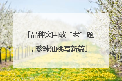 品种突围破“老”题，珍珠油桃写新篇