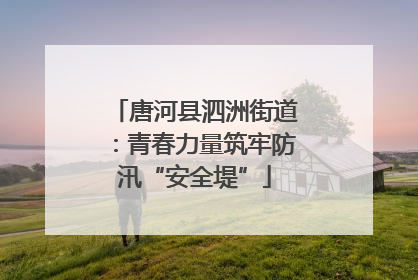 唐河县泗洲街道：青春力量筑牢防汛“安全堤”