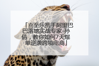 喜至乐携手阿里巴巴落地实战专家-孙倩，教你如何7天爆单逆袭跨境电商