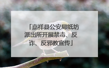 嘉祥县公安局纸坊派出所开展禁毒、反诈、反邪教宣传