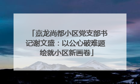 嘉龙尚都小区党支部书记谢文盛：以公心破难题 绘就小区新画卷