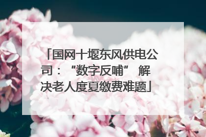 国网十堰东风供电公司：“数字反哺” 解决老人度夏缴费难题