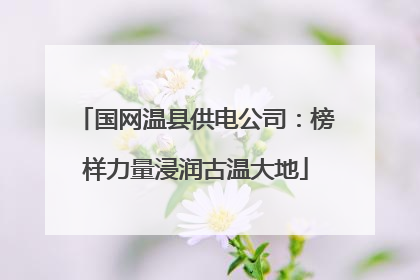 国网温县供电公司：榜样力量浸润古温大地