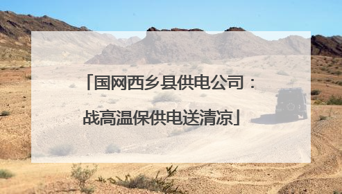 国网西乡县供电公司：战高温保供电送清凉