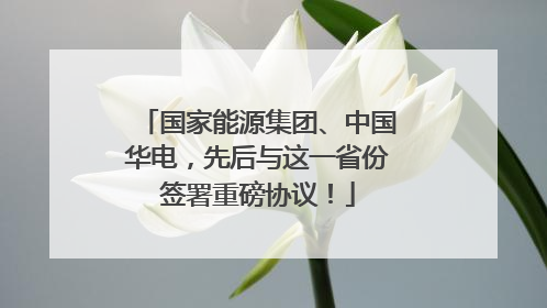 国家能源集团、中国华电，先后与这一省份签署重磅协议！