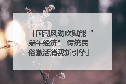 国潮风劲吹赋能“端午经济” 传统民俗激活消费新引擎